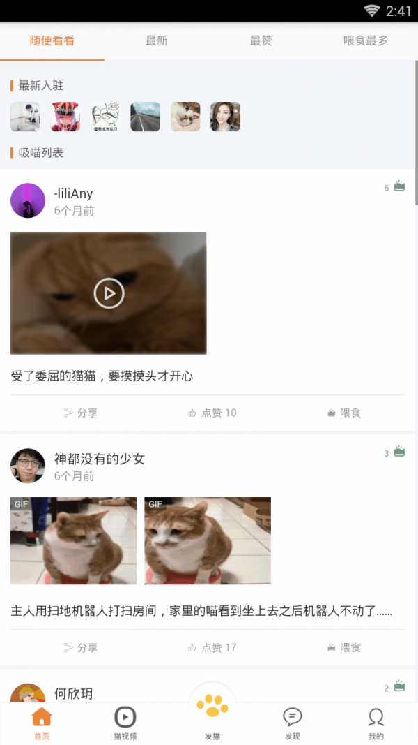 养猫圈截图4