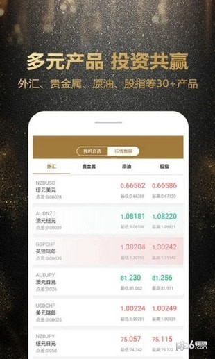 环宇贵金属截图3