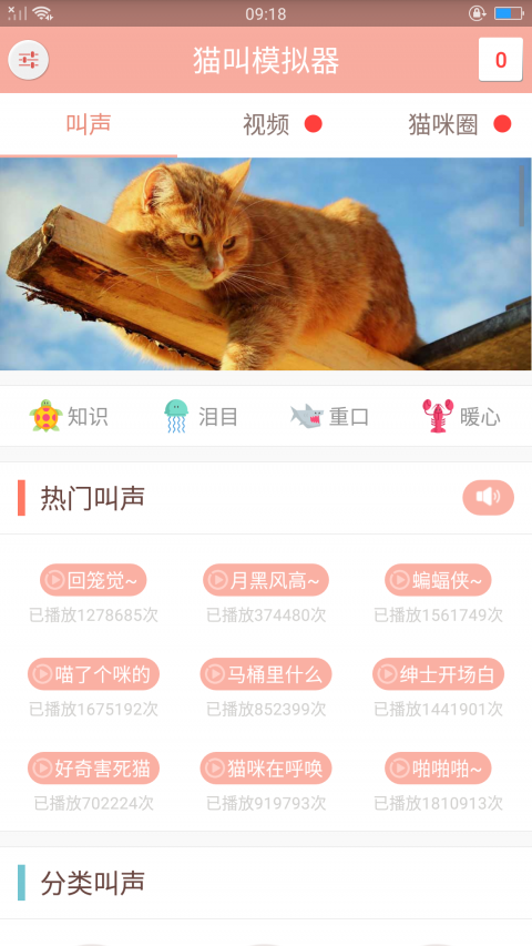 宠物猫交流器截图3