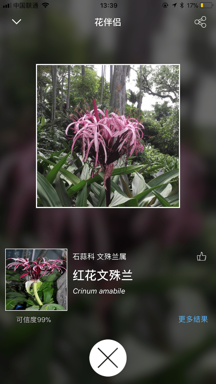 花伴侣植物识别软件截图3