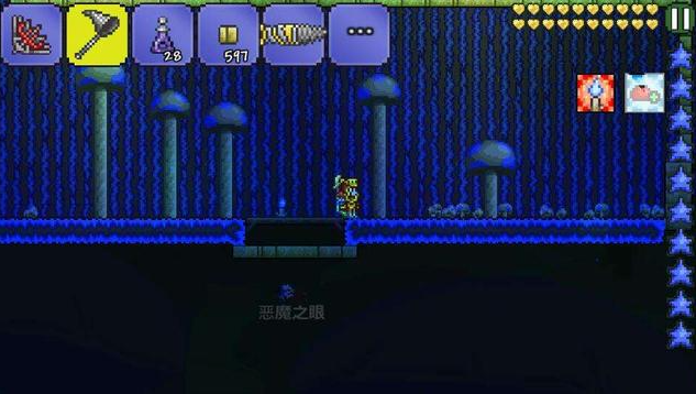 泰拉瑞亚如何抓捕松露虫