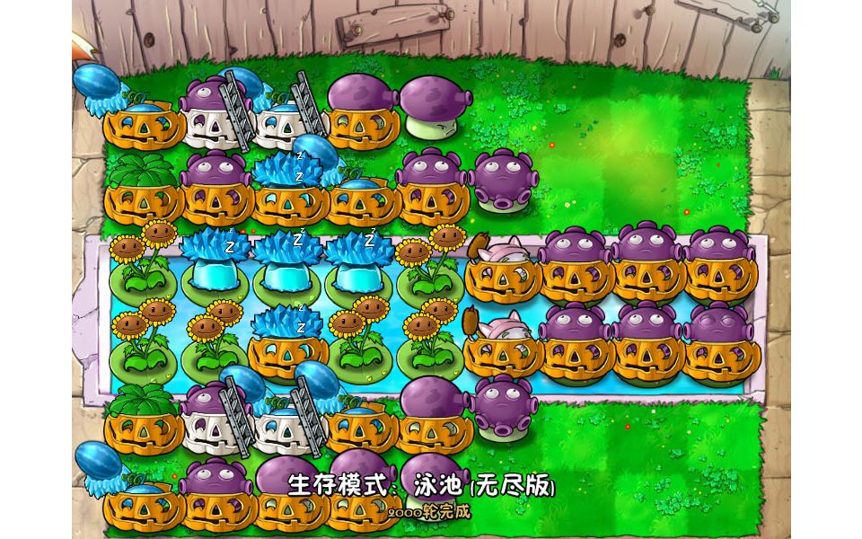 植物大战僵尸无尽模式开局怎么打