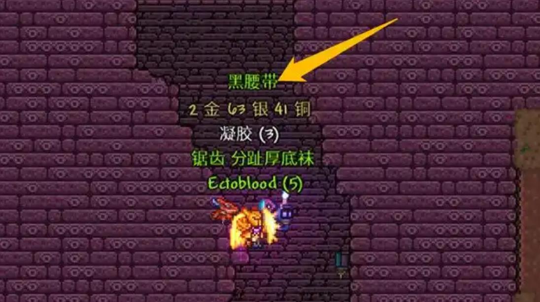 泰拉瑞亚黑腰带怎么得