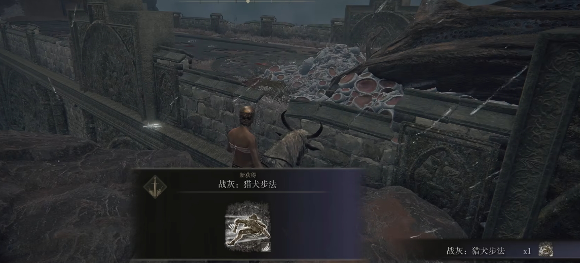 艾尔登法环武士战灰推荐什么