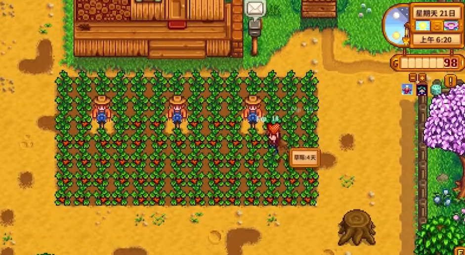 星露谷物语前期卖什么