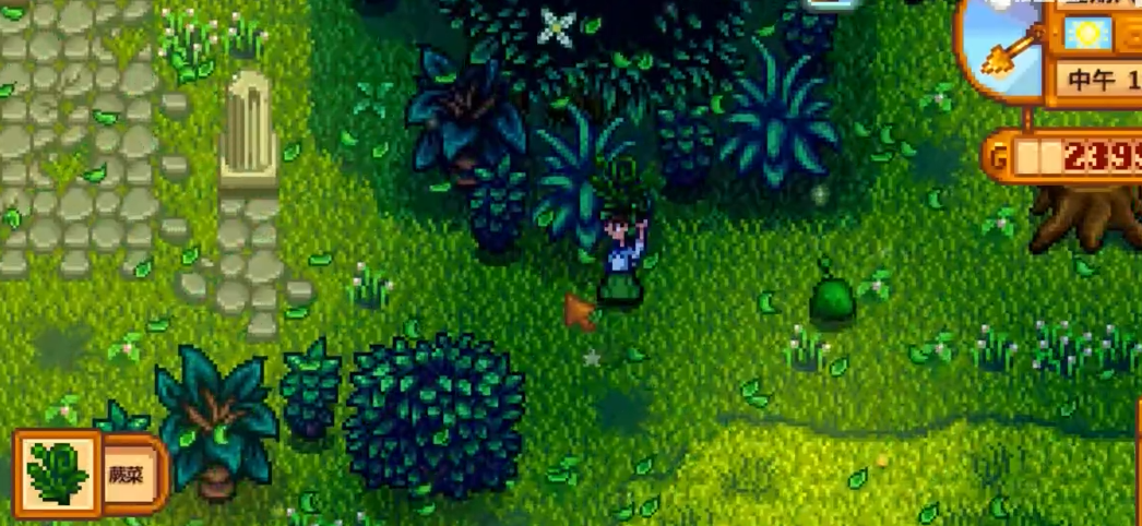 星露谷物语硬木哪里刷的最多