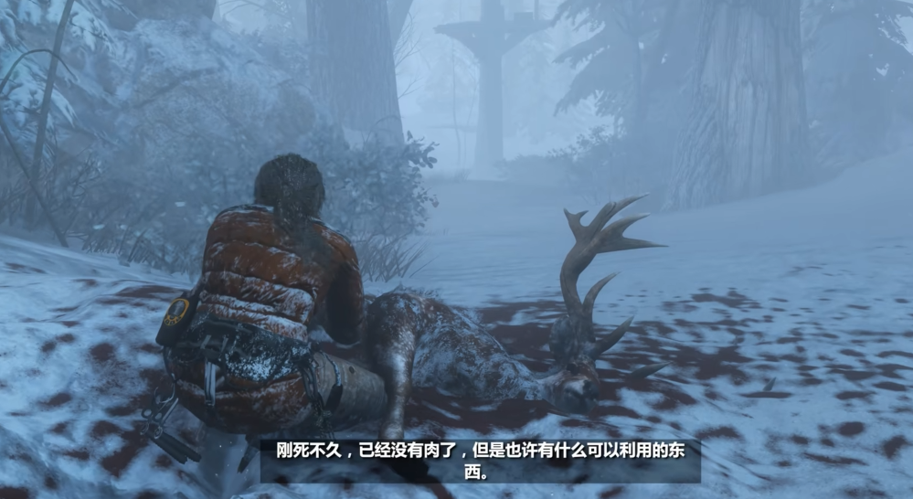 古墓丽影崛起怎么过