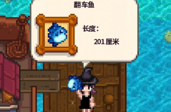 星露谷物语翻车鱼哪里钓