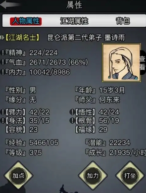 放置江湖一转后怎么玩